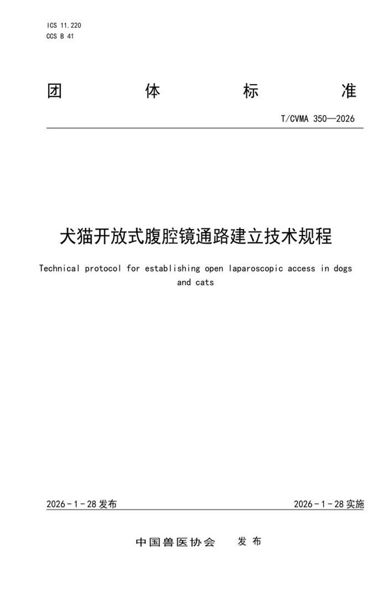 T/CVMA 350-2026 犬猫开放式腹腔镜通路建立技术规程资源截图