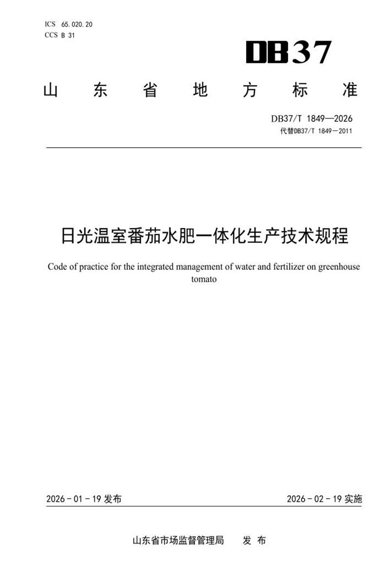 DB37/T 1849-2025 日光温室番茄水肥一体化生产技术规程资源截图