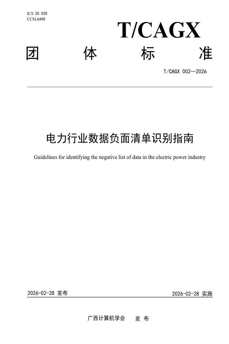 T/CAGX 002-2026 电力行业数据负面清单识别指南资源截图