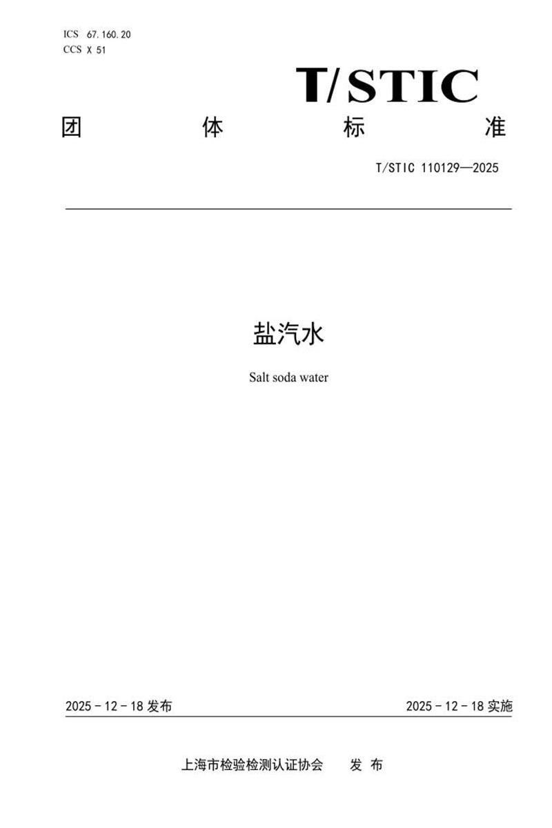 T/STIC 110129-2025 盐汽水资源截图