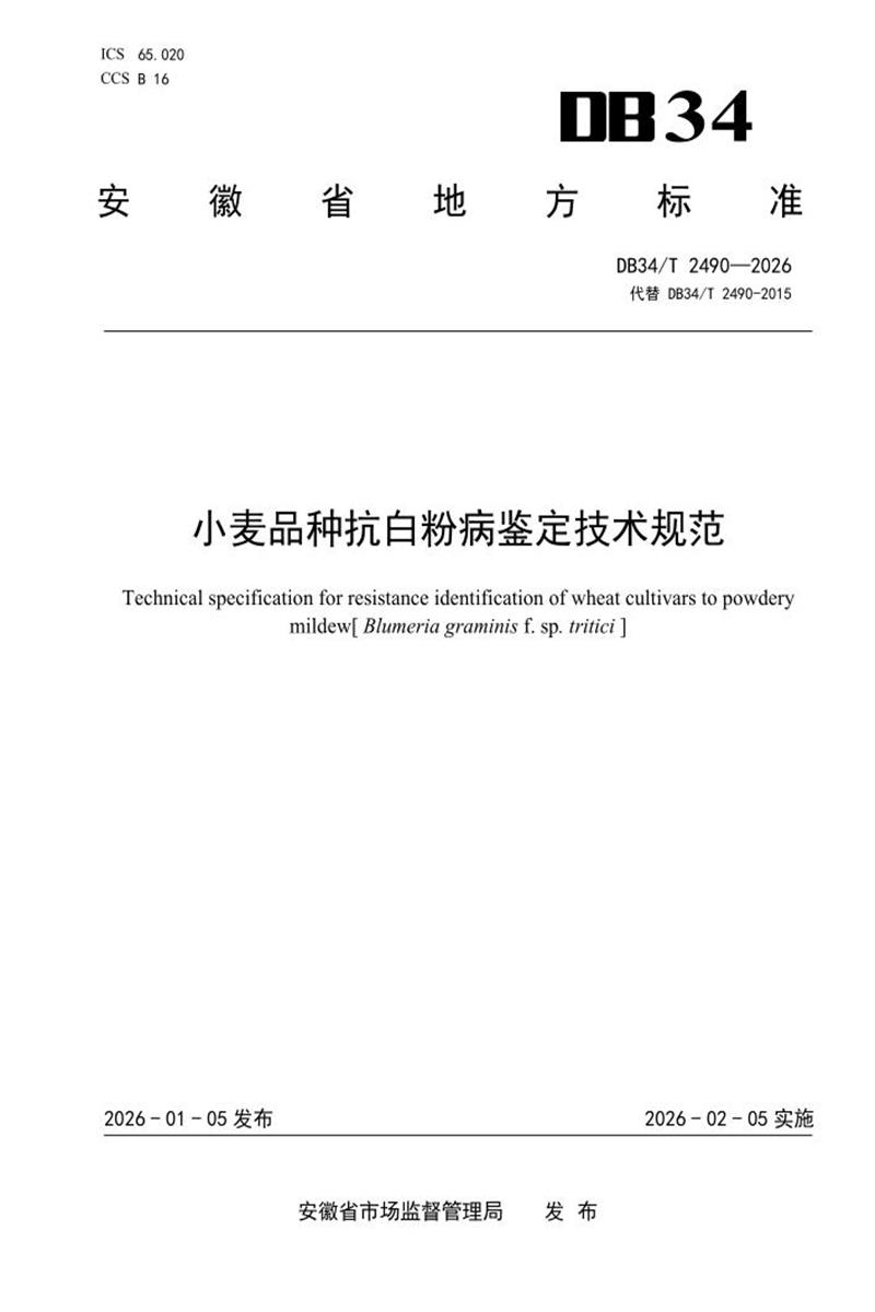 DB34/T 2490-2026 小麦品种抗白粉病鉴定技术规范资源截图