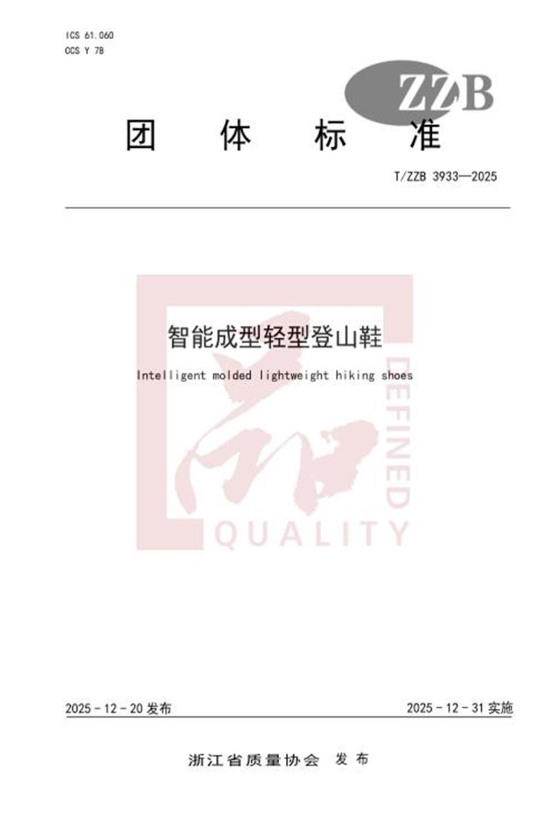 T/ZZB 3933-2025 智能成型轻型登山鞋资源截图