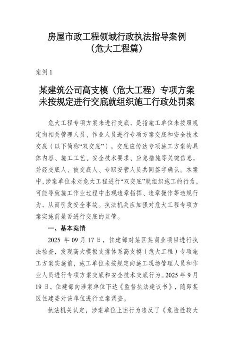 天津市房屋市政工程领域行政执法指导案例（危大工程篇）资源截图