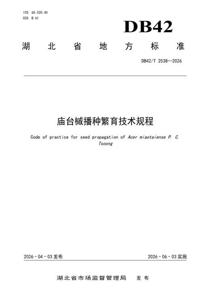 DB42/T 2538-2026 庙台槭播种繁育技术规程资源截图