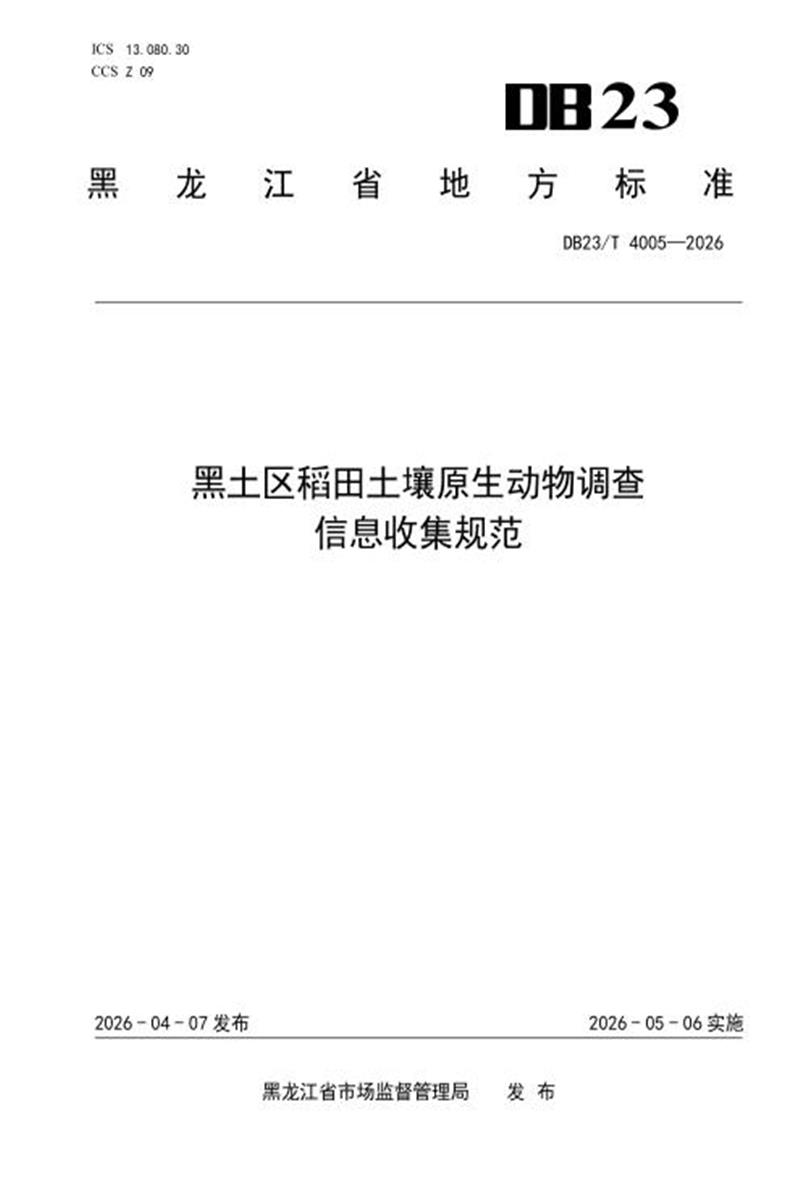  标准封面