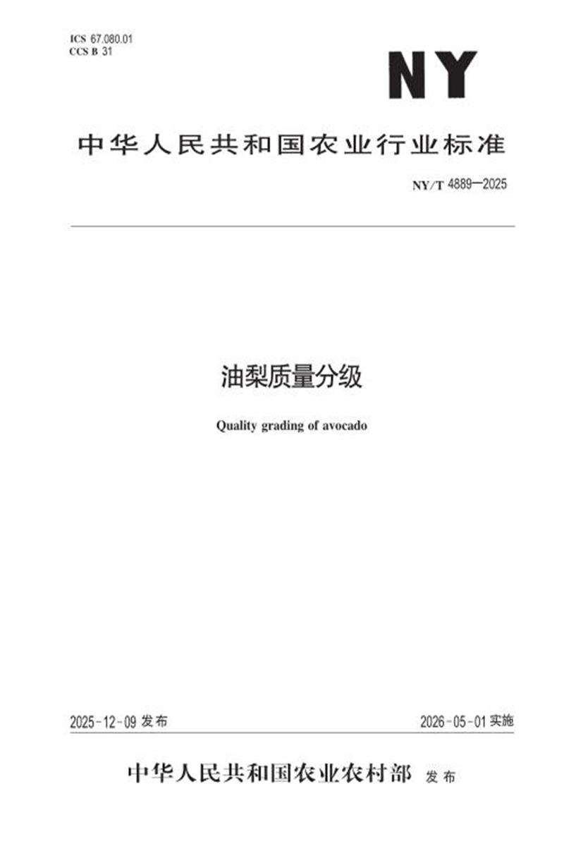 NY/T 4889-2025 油梨质量分级 标准封面