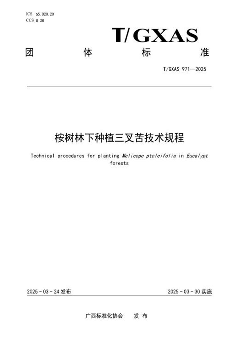 T/GXAS 971-2025 桉树林下种植三叉苦技术规程资源截图