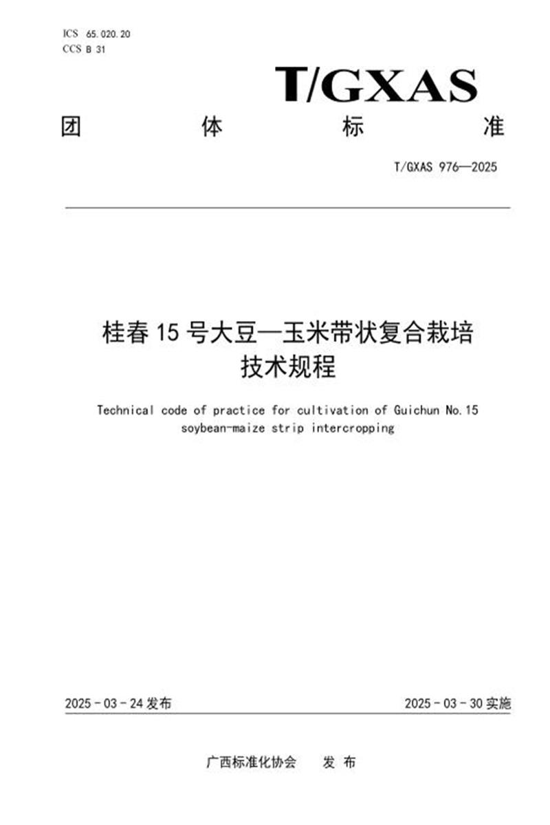 T/GXAS 976-2025 桂春15号大豆—玉米带状复合栽培技术规程资源截图