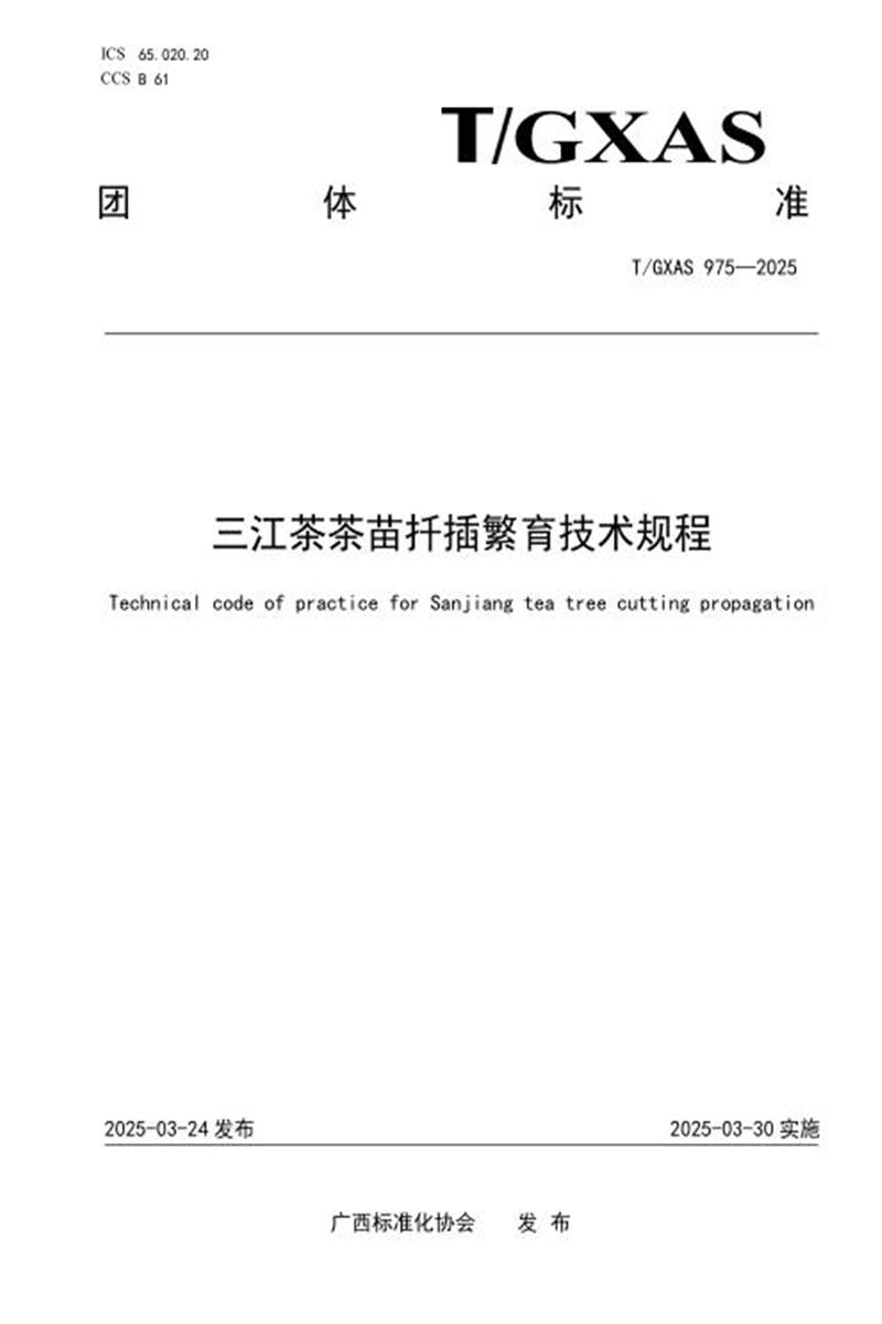 T/GXAS 975-2025 三江茶茶苗扦插繁育技术规程资源截图