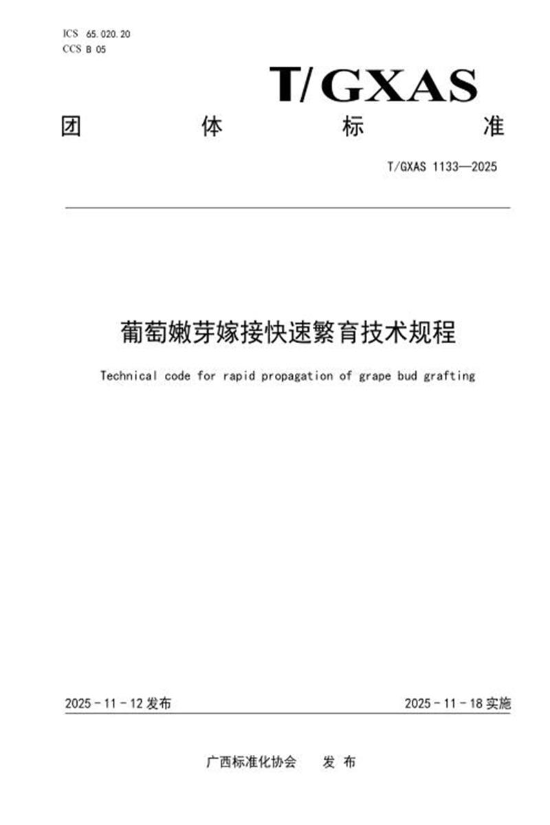 T/GXAS 1133-2025 葡萄嫩芽嫁接快速繁育技术规程资源截图