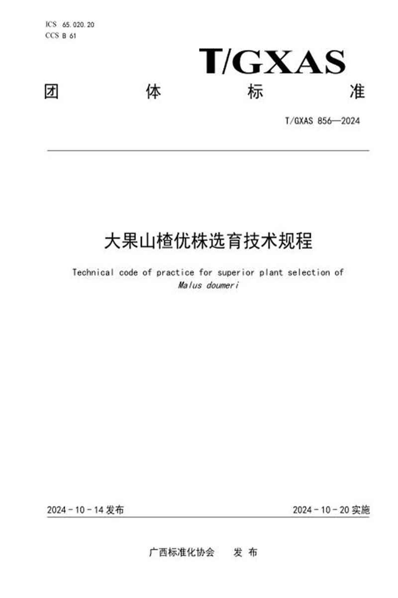 T/GXAS 856-2024 大果山楂优株选育技术规程资源截图
