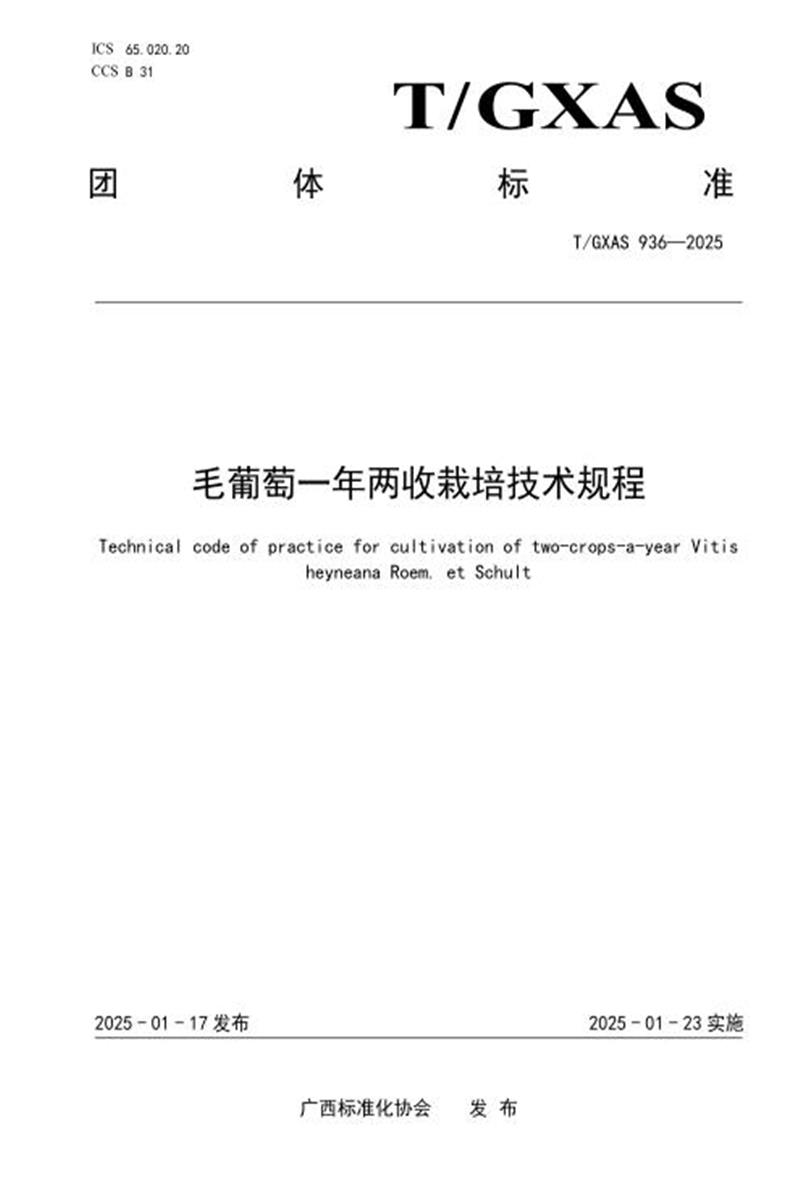 T/GXAS 936-2025 毛葡萄一年两收栽培技术规程资源截图