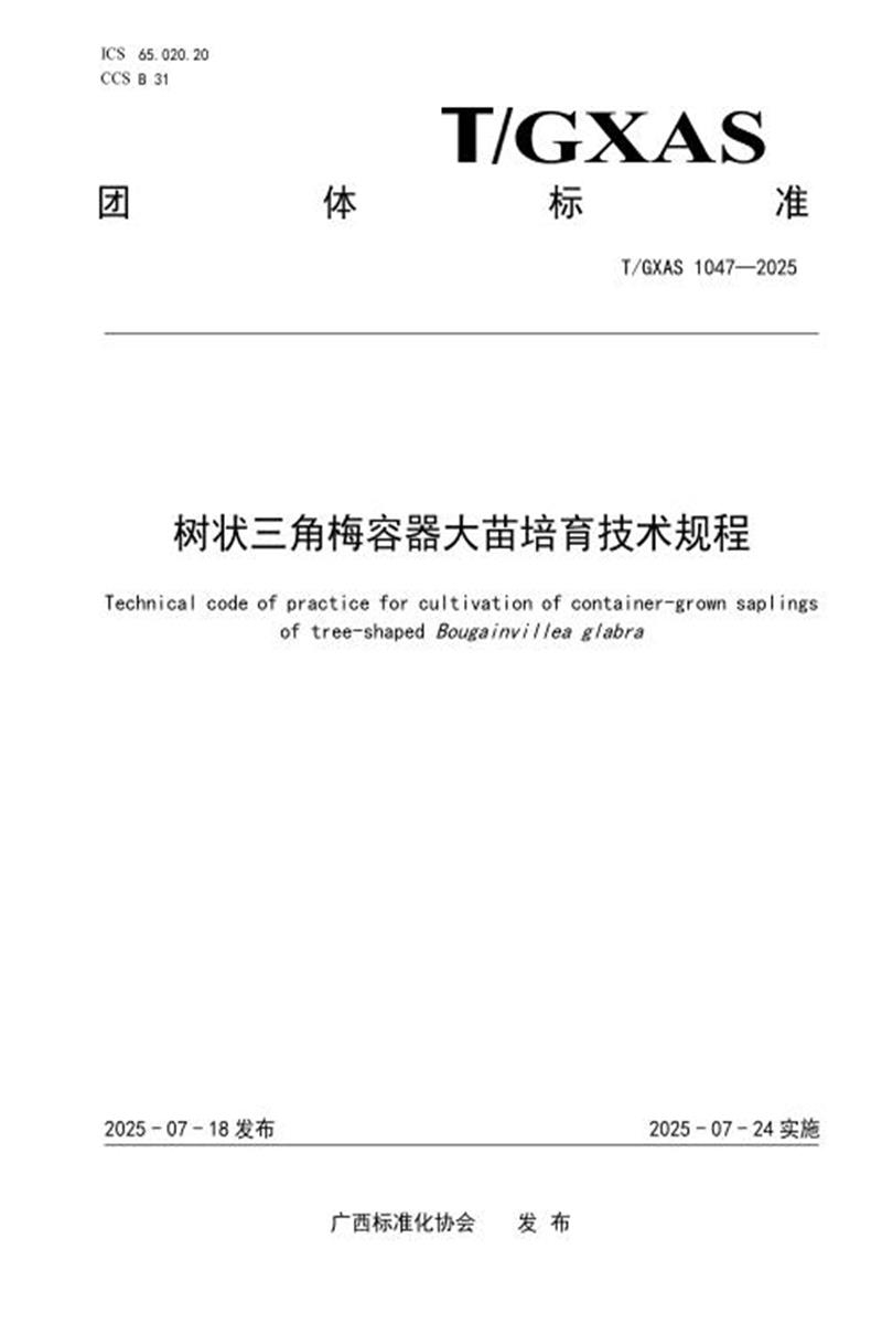 T/GXAS 1047-2025 树状三角梅容器大苗培育技术规程资源截图