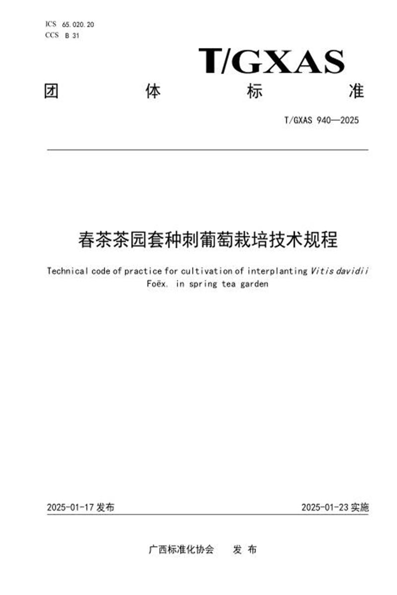 T/GXAS 940-2025 春茶茶园套种刺葡萄栽培技术规程资源截图