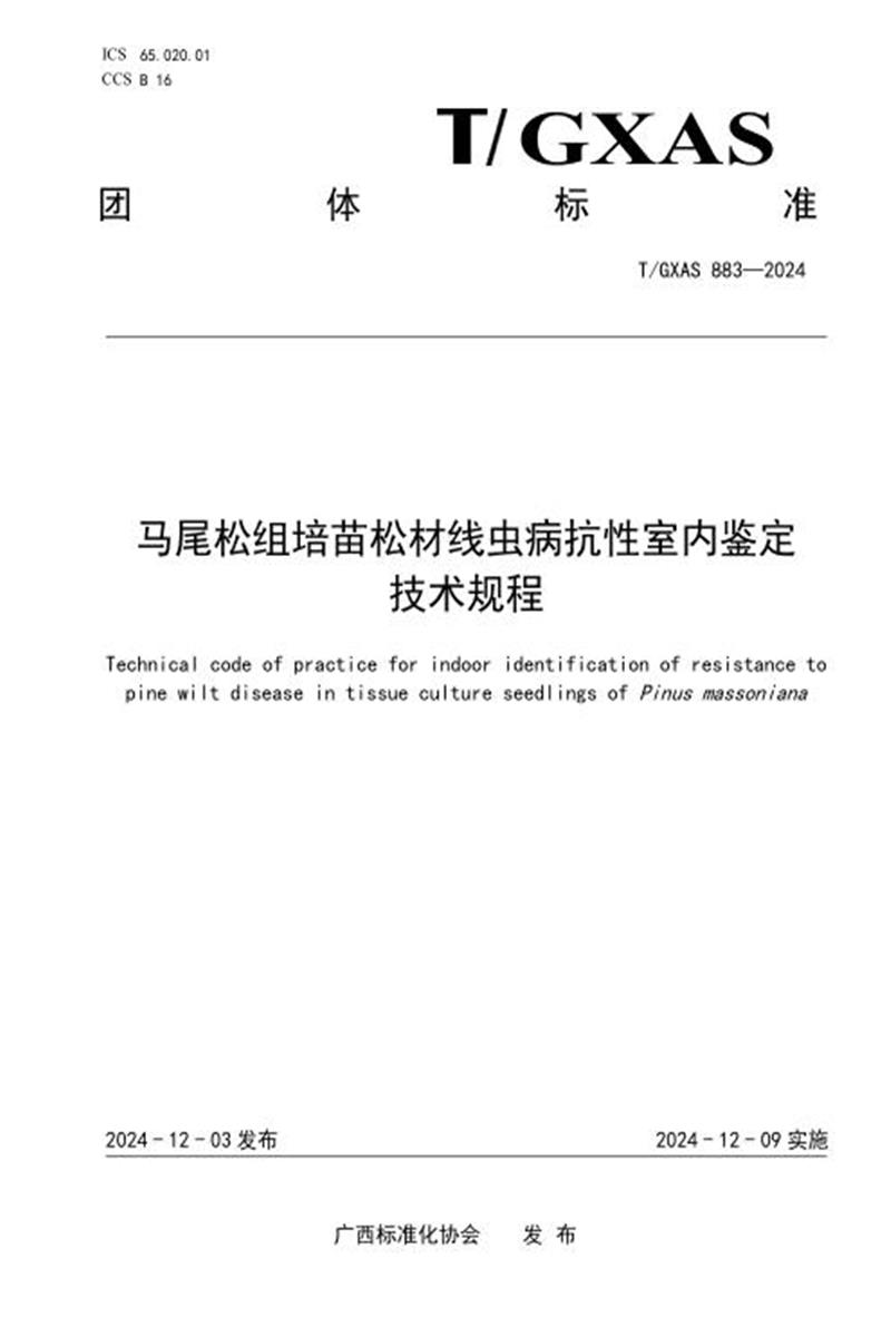 T/GXAS 883-2024 马尾松组培苗松材线虫病抗性室内鉴定技术规程资源截图