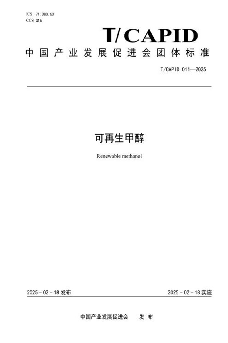 T/CAPID 011-2025 可再生甲醇资源截图