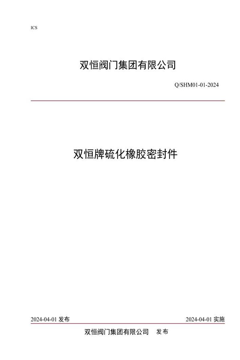 Q/SHM01 01-2024 双恒牌硫化橡胶密封件资源截图