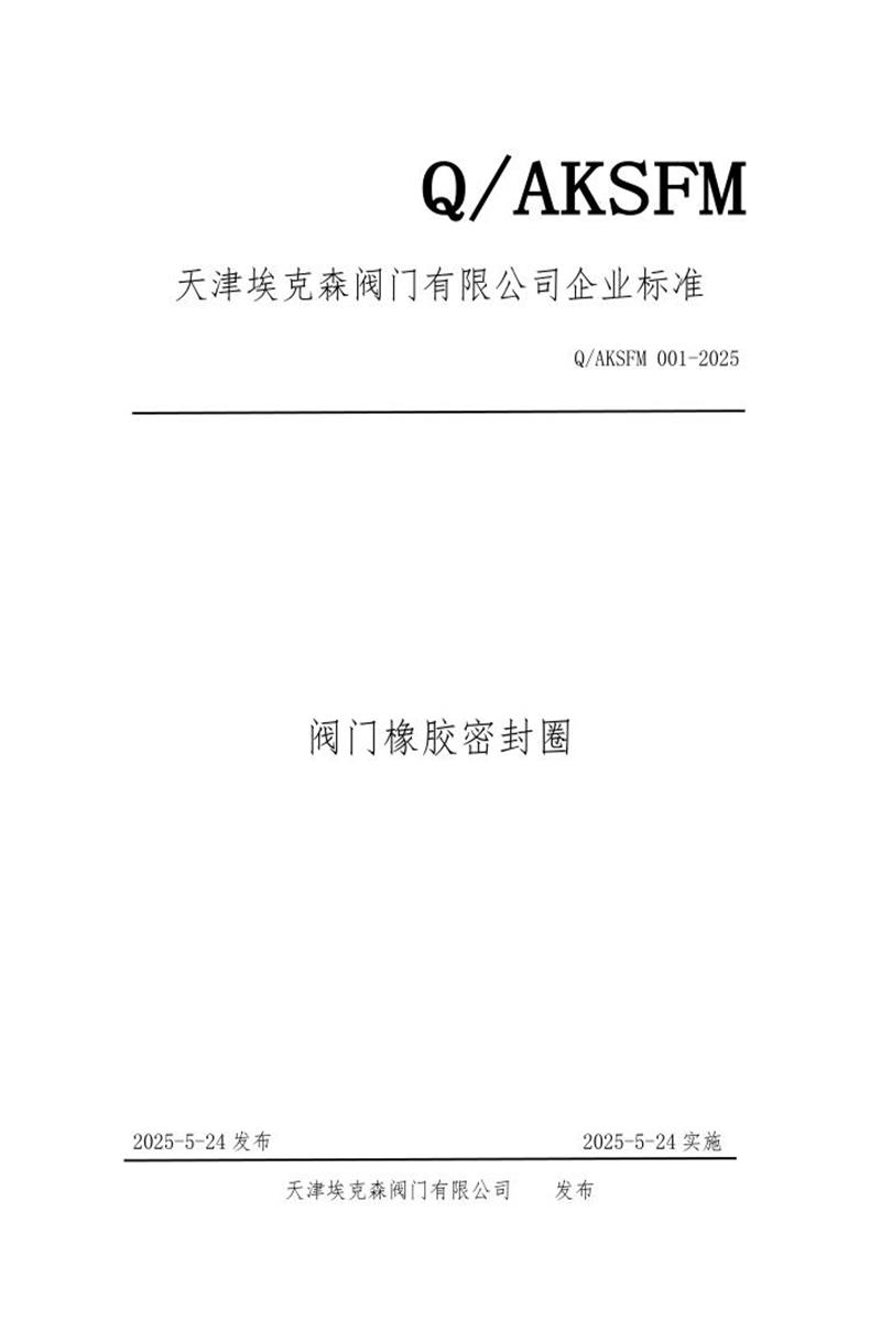 Q/AKSFM 001-2025 阀门橡胶密封圈资源截图