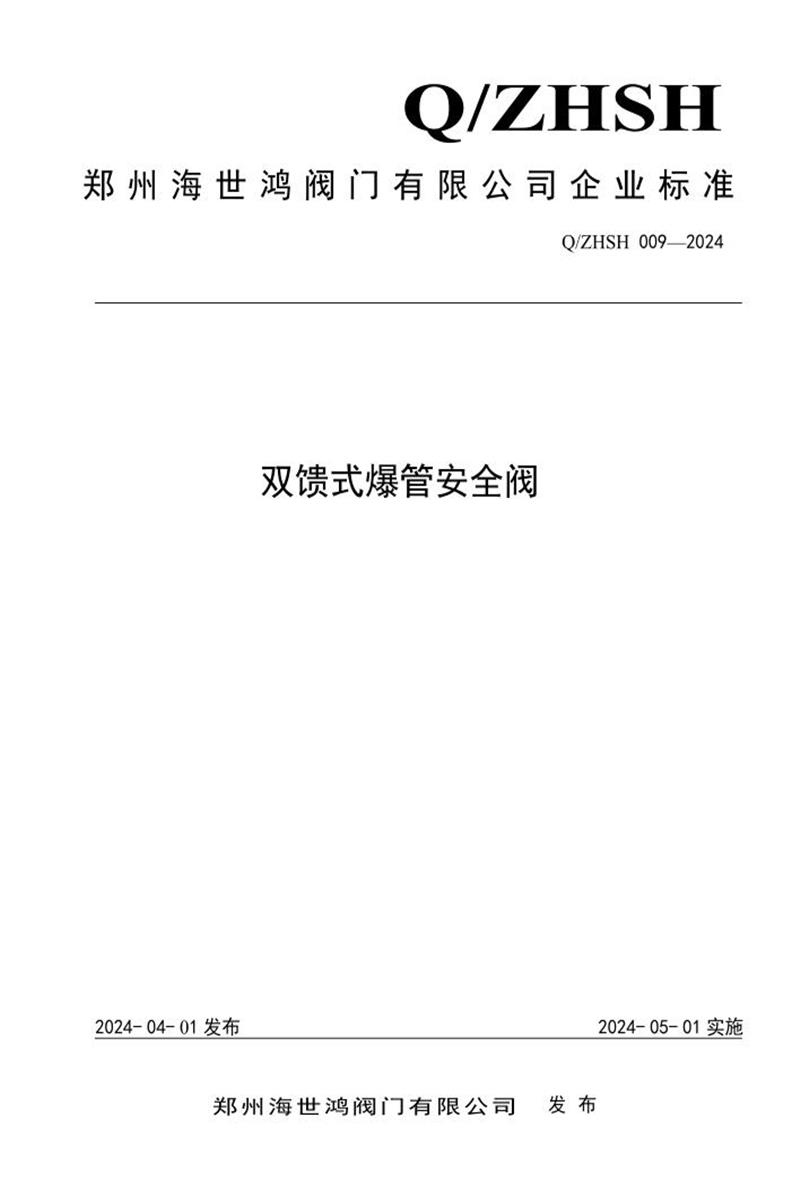 Q/ZHSH 009-2024 双馈式爆管安全阀资源截图