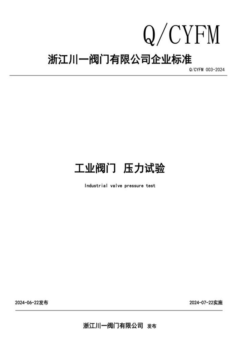 Q/CYFM 003-2024 工业阀门 压力试验资源截图