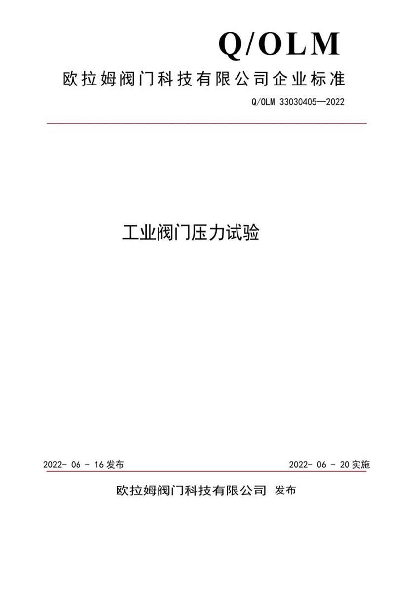 Q/OLM 33030405-2022 工业阀门压力试验资源截图