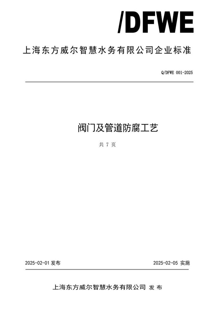 Q/DFWE 001-2025 阀门及管道防腐工艺资源截图