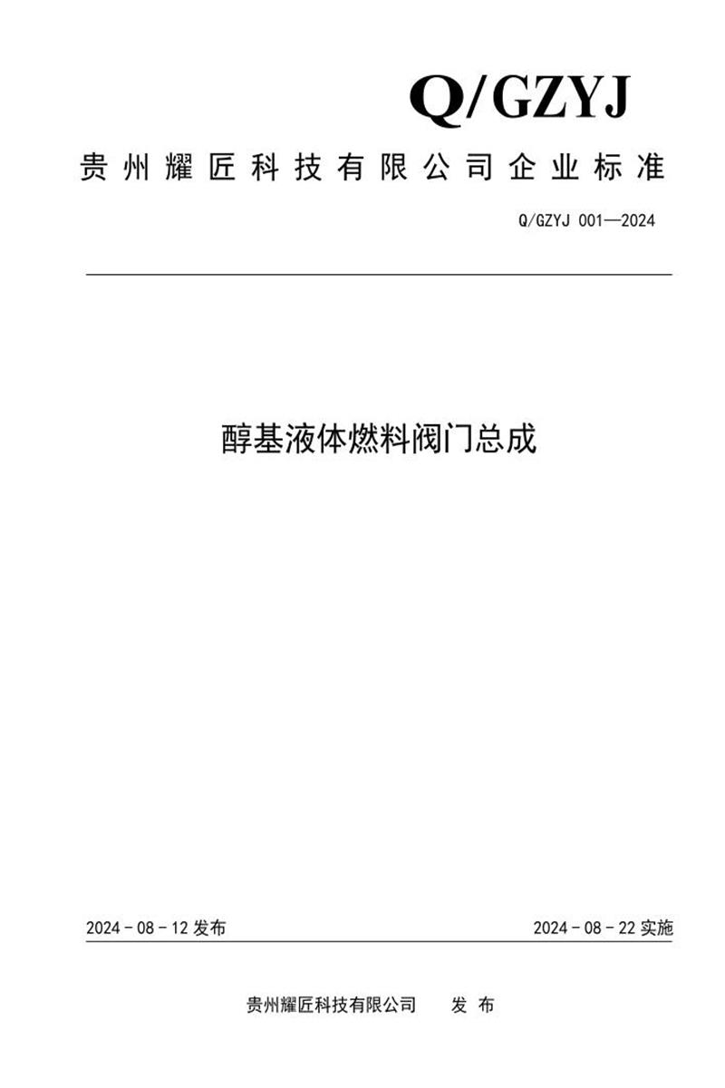 Q/GZYJ 001-2024 醇基液体燃料阀门总成资源截图