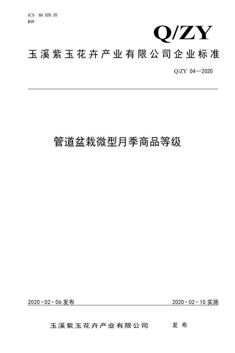 Q/ZY04-2020 管道盆栽微型月季商品等级资源截图