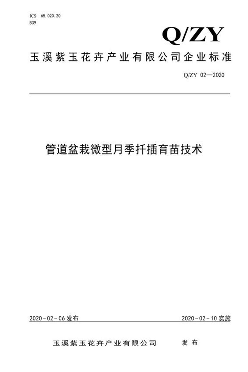 Q/ZY02-2020 管道盆栽微型月季扦插育苗技术资源截图
