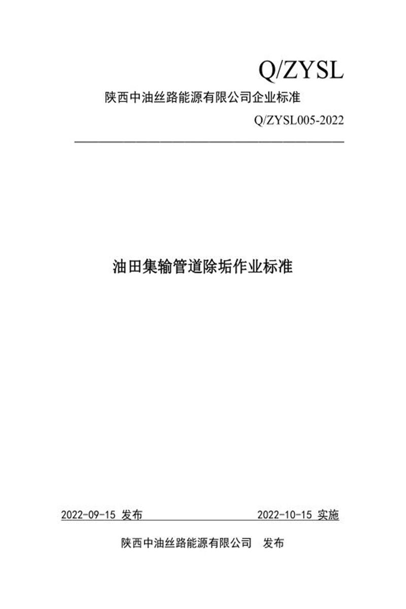 Q/ZYSL005-2022 油田集输管道除垢作业标准资源截图
