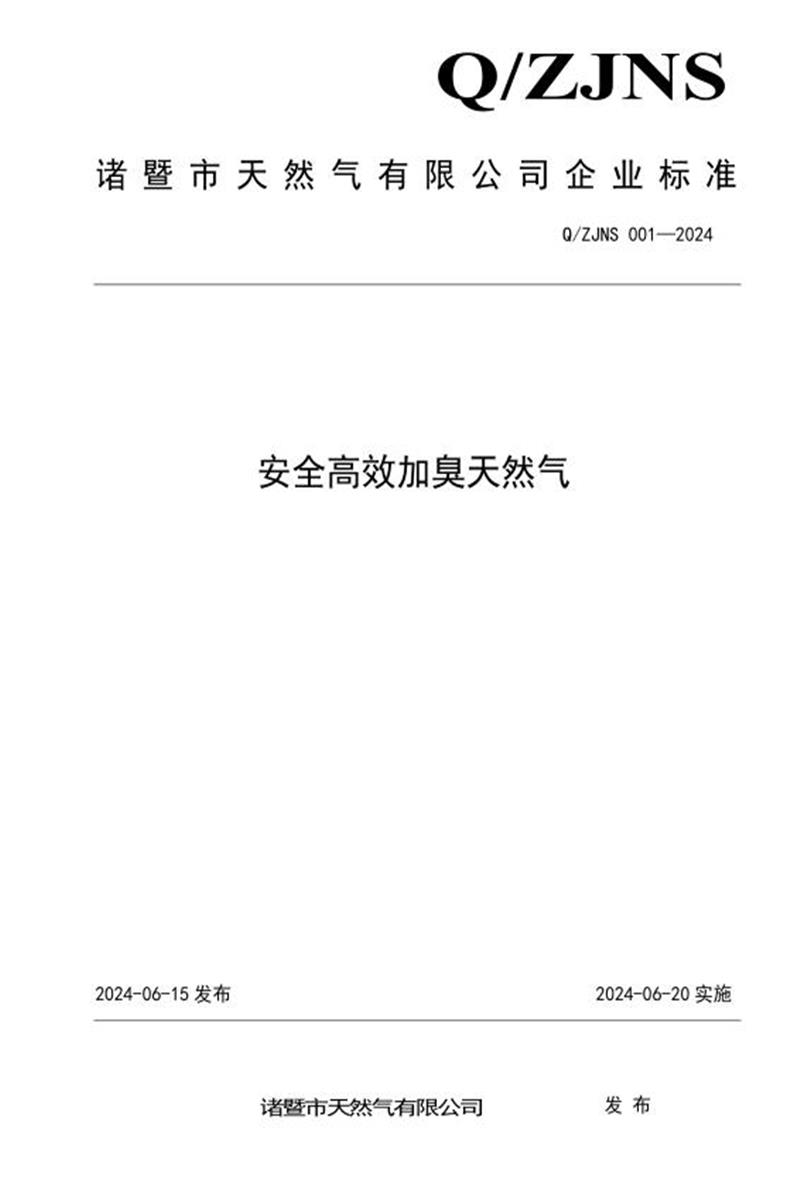 Q/ZJNS 001-2024 安全高效加臭天然气资源截图