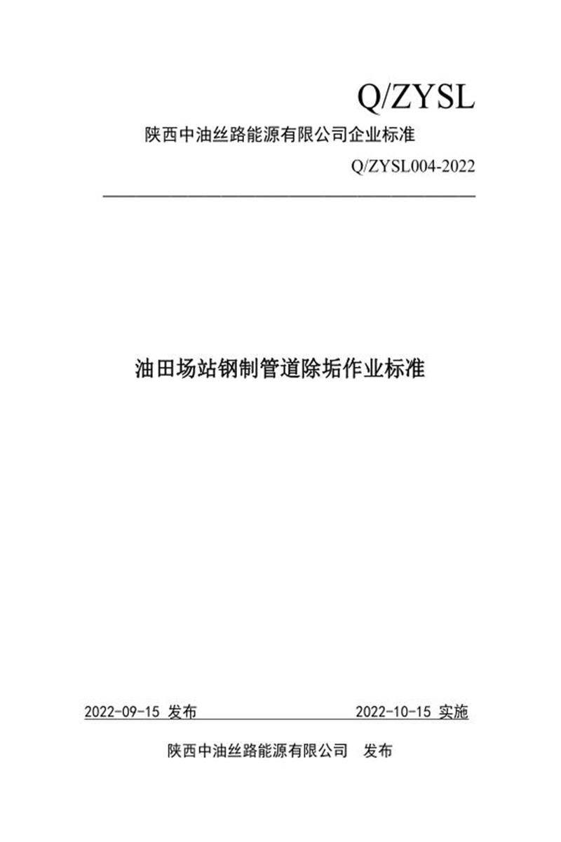 Q/ZYSL004-2022 油田场站钢制管道除垢作业标准资源截图