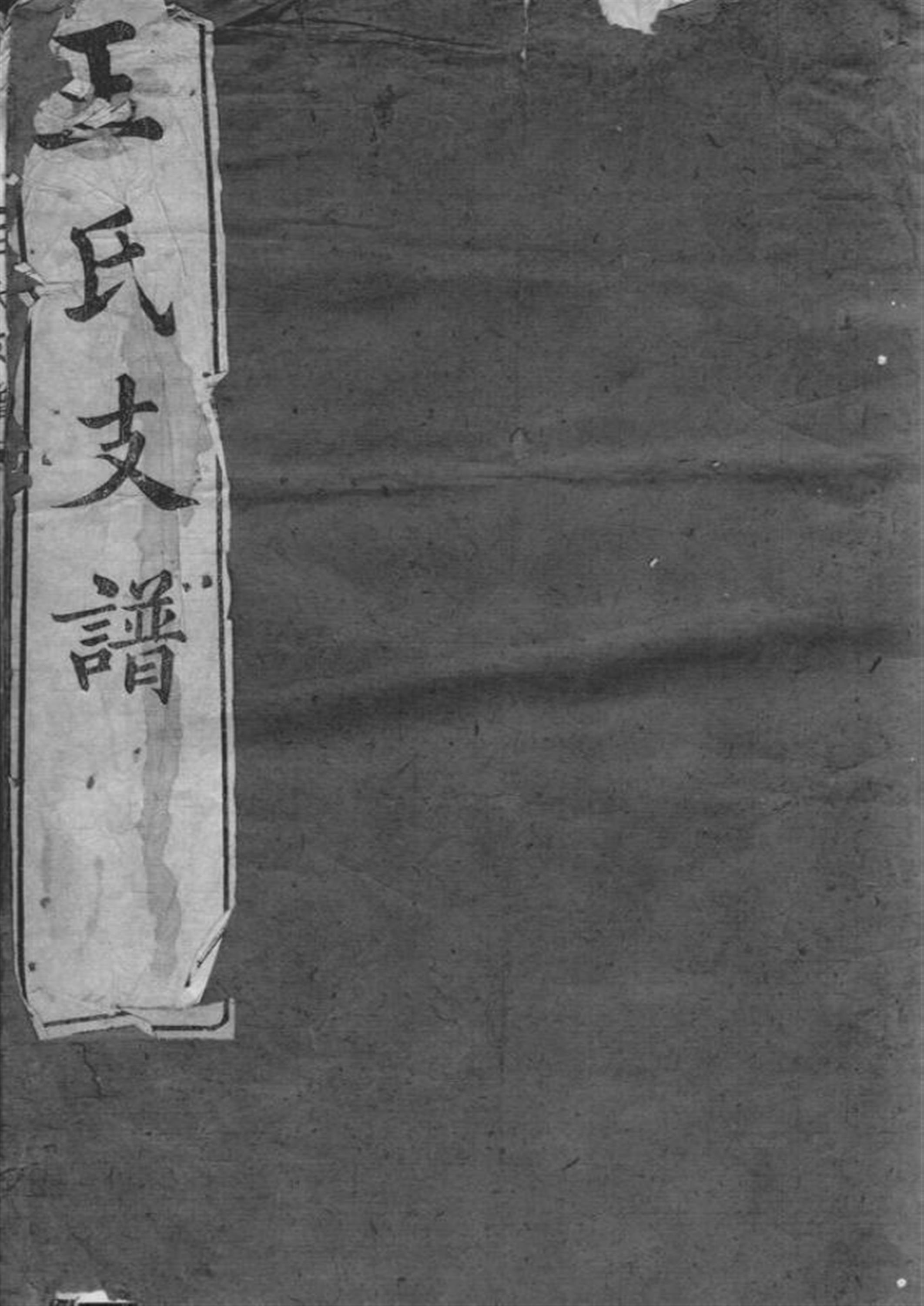 王氏支谱：不分卷：崇明