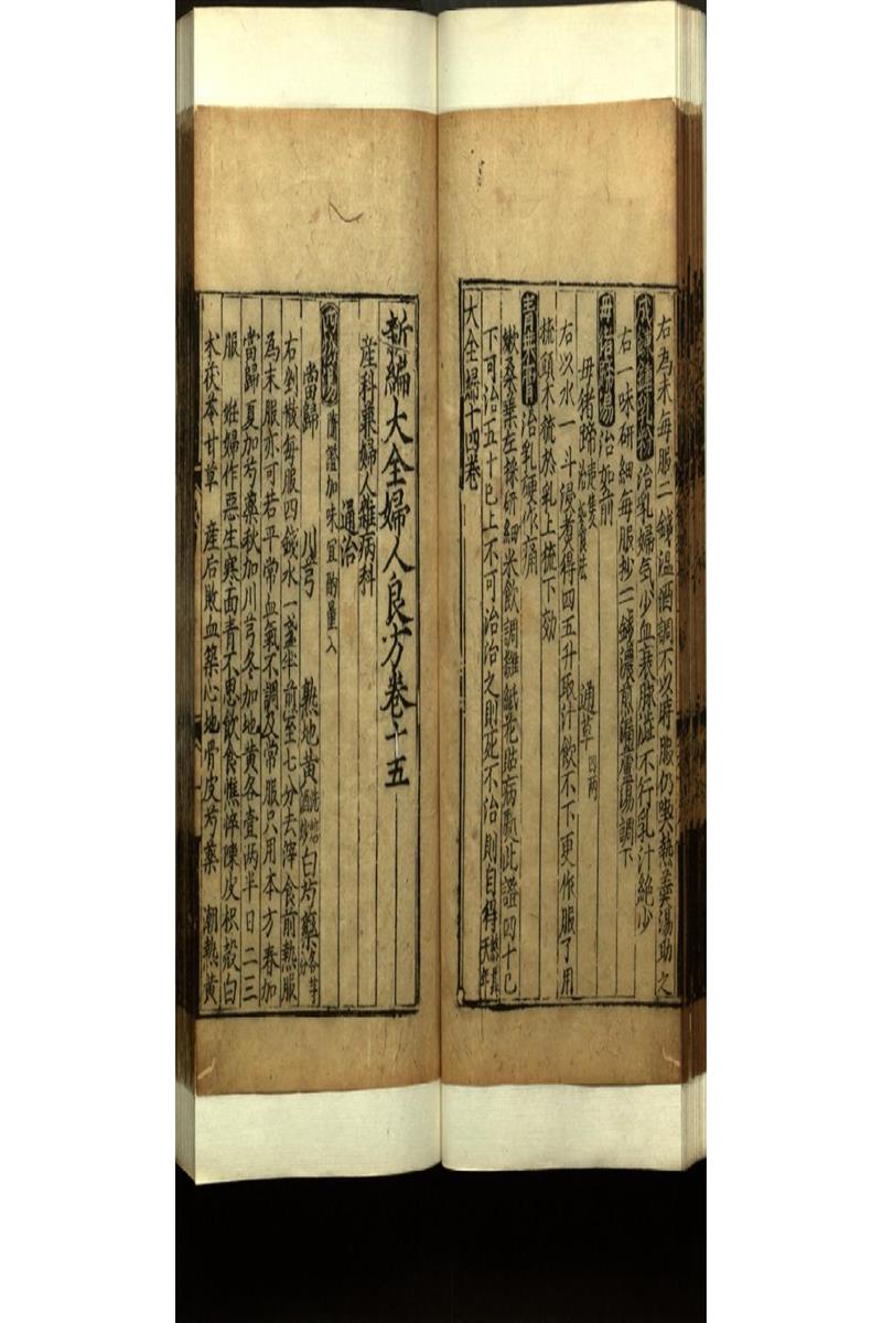 世醫得效方二十卷 (22)