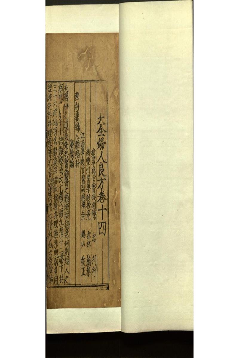 世醫得效方二十卷 (20)