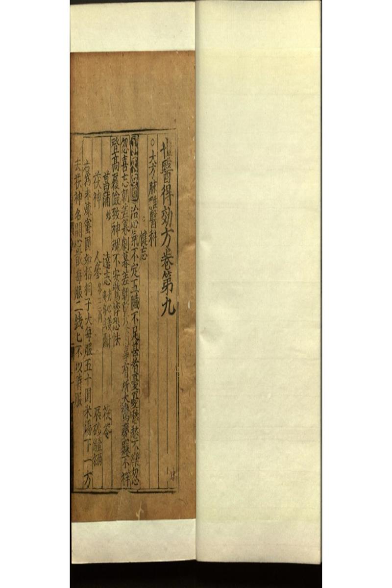 世醫得效方二十卷 (14)