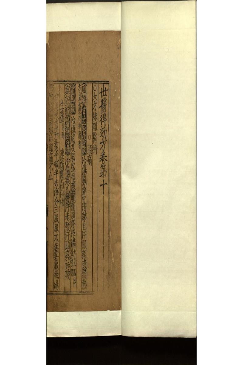 世醫得效方二十卷 (15)