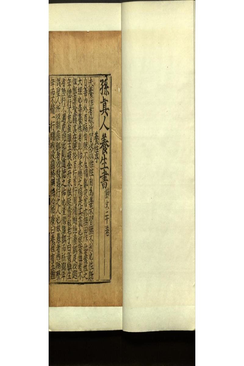 世醫得效方二十卷 (29)