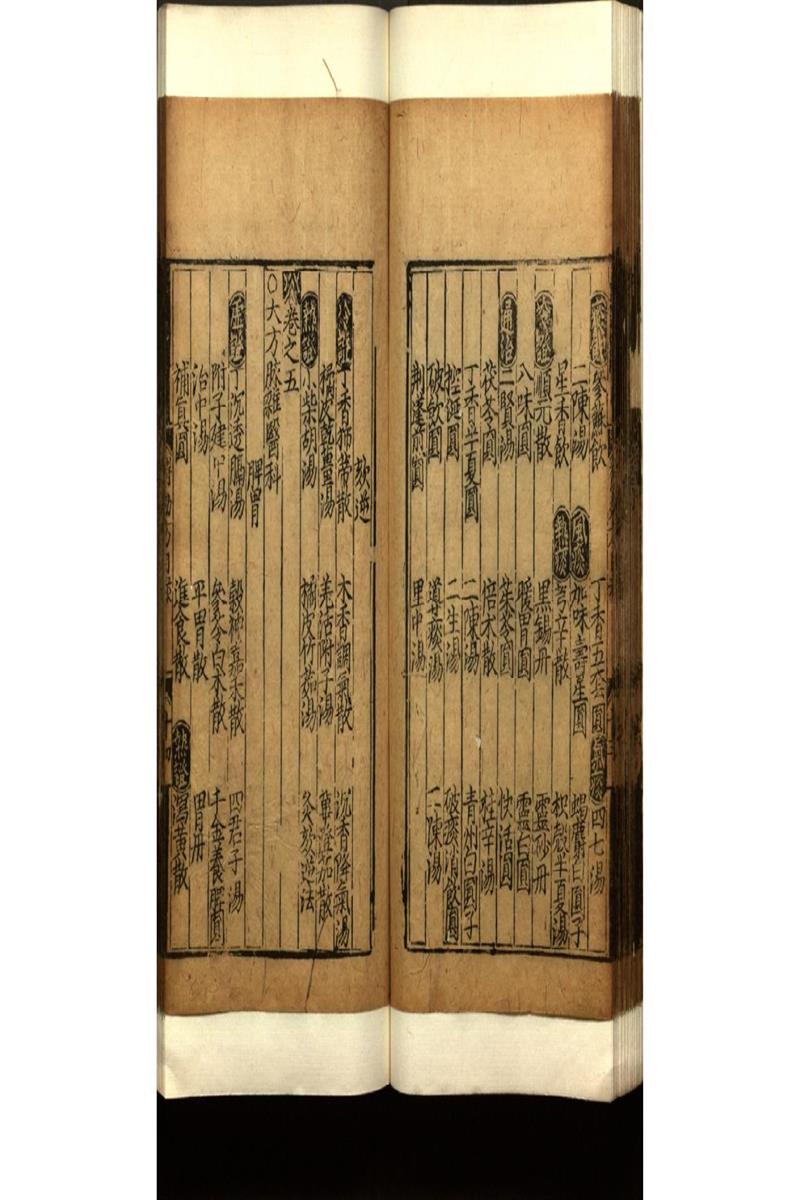 世醫得效方二十卷 (2)
