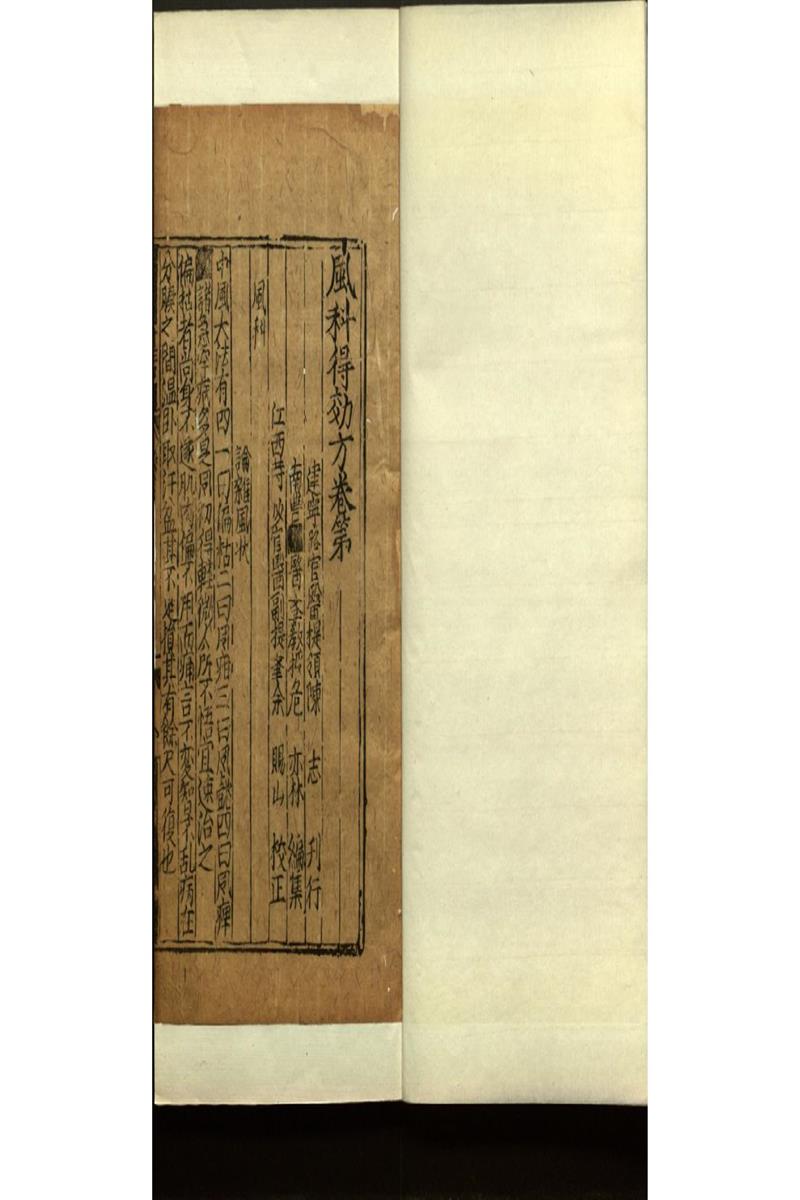 世醫得效方二十卷 (19)
