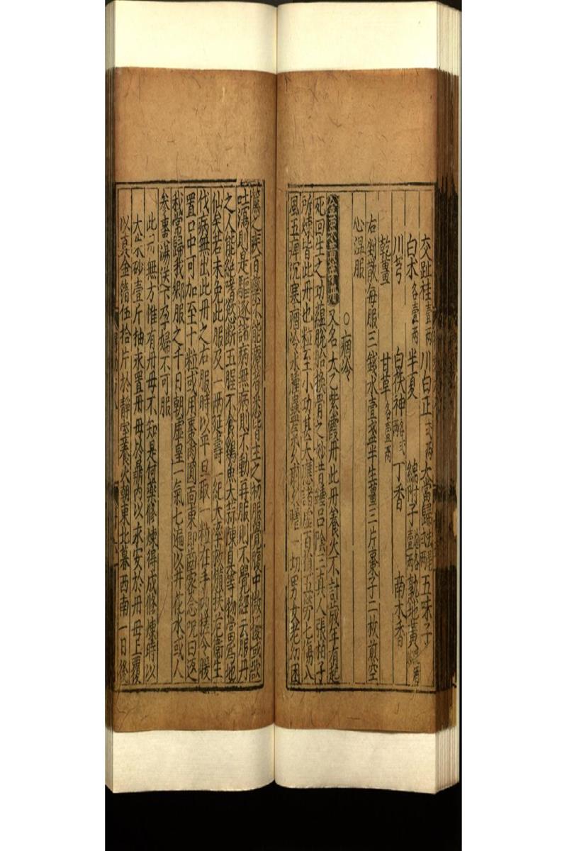 世醫得效方二十卷 (13)