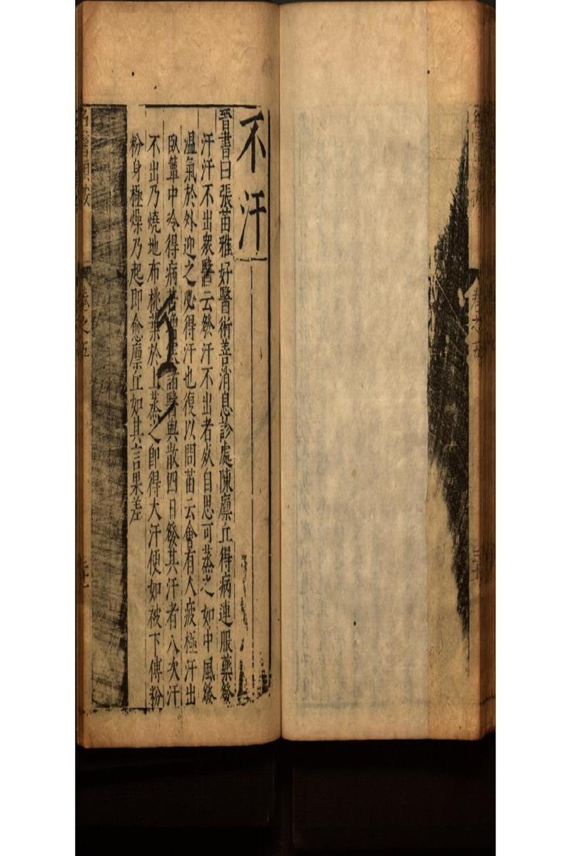 名醫類案十二卷 (11)