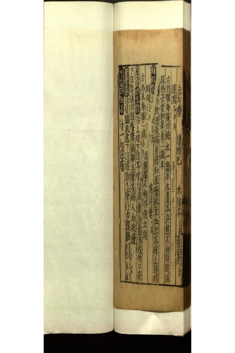 世醫得效方二十卷 (28)